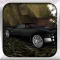 Real Sport Black Car Parking
