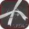 Wedding Planner Professional