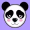 SoCute Panda