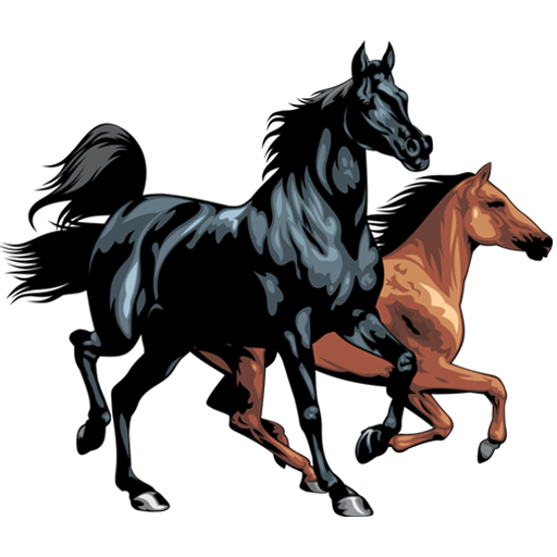 Horse breeds