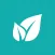 BetConstruct Spring