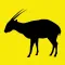 Saola