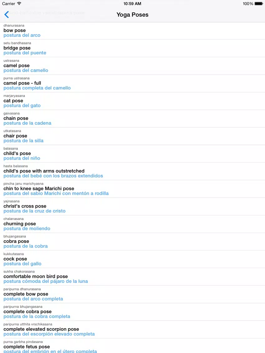 English-Spanish Yoga Translator (Offline) iPad Screenshots
