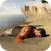 Army Survival Island