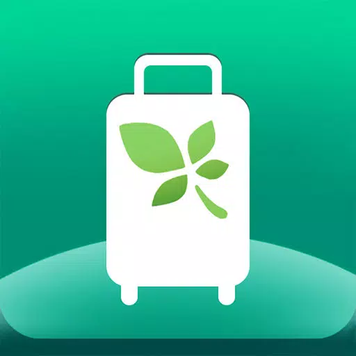 Mint T Bag (Travel packing list) Mint T Bag (Travel packing list)