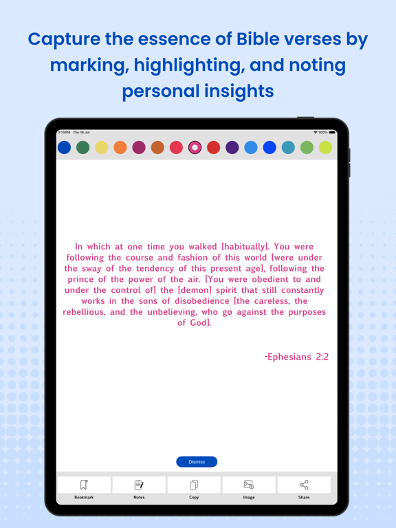 Amplified Bible Pro (AMP) iPad Screenshots