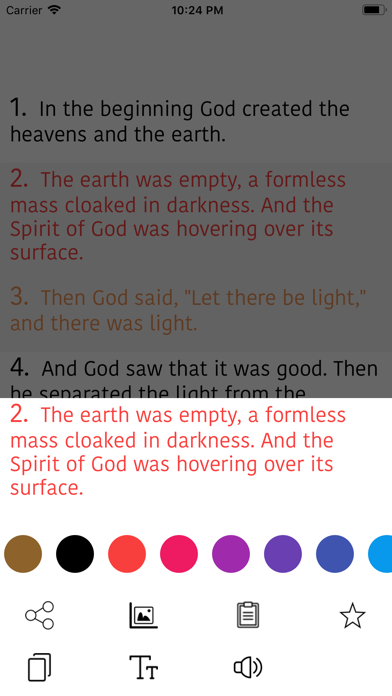 Polish Bible Screenshots