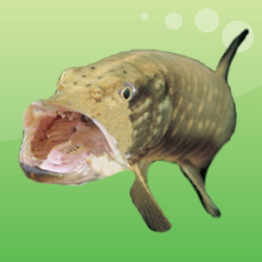 Coarse And Game Fishing Coarse And Game Fishing