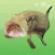 Coarse And Game Fishing