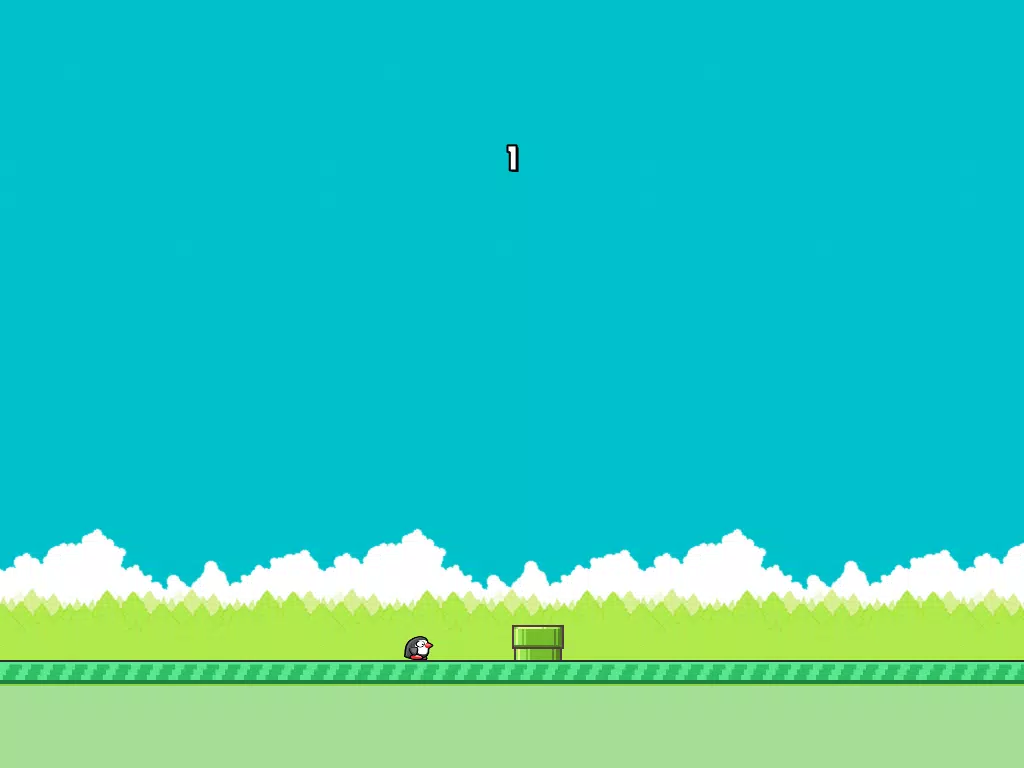 Feety Bird 2 Jump! iPad  Screenshots