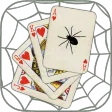 Spider Solitarus