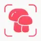 Fungo - Mushroom identifier