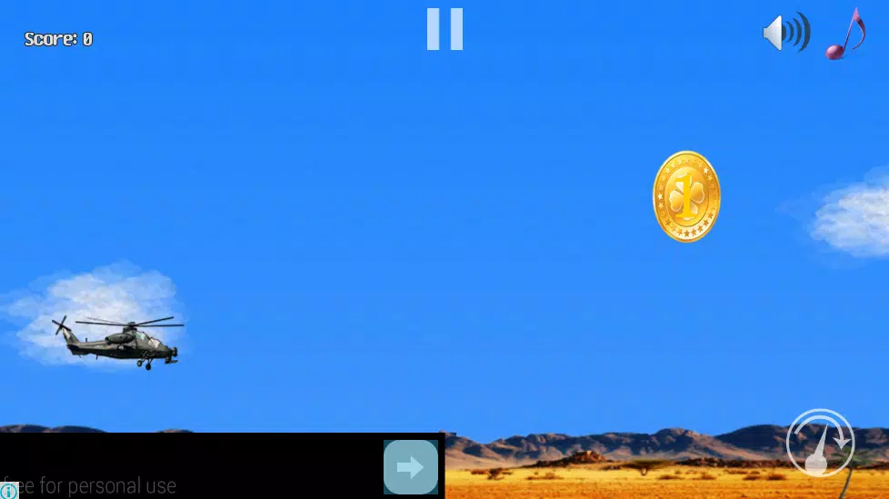 APACHE TOP GUN Screenshots