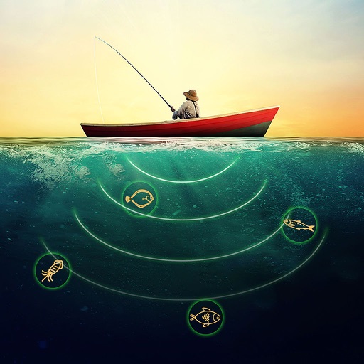 sonar fish sonar fish