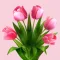 Flower Blossom Stickers!