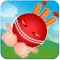 Crazy Cricket