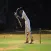 Cricket Information