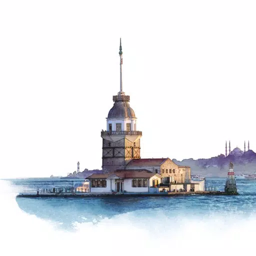 IASP 2017 ISTANBUL IASP 2017 ISTANBUL