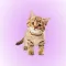 Cat Sounds Soundboard