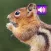 Chipmunk: Sounds & Ringtones