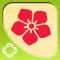 Teachings on Love - Thich Nhat Hanh