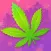 The Weed Game: Marijuana Money