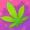The Weed Game: Marijuana Money
