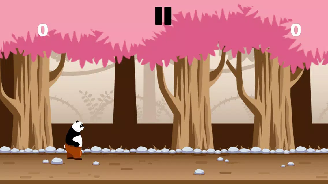 صور Panda Break