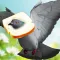Flying Bird Pigeon Games