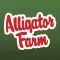 Alligator Farm