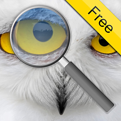 Photo Loupe Free Photo Loupe Free