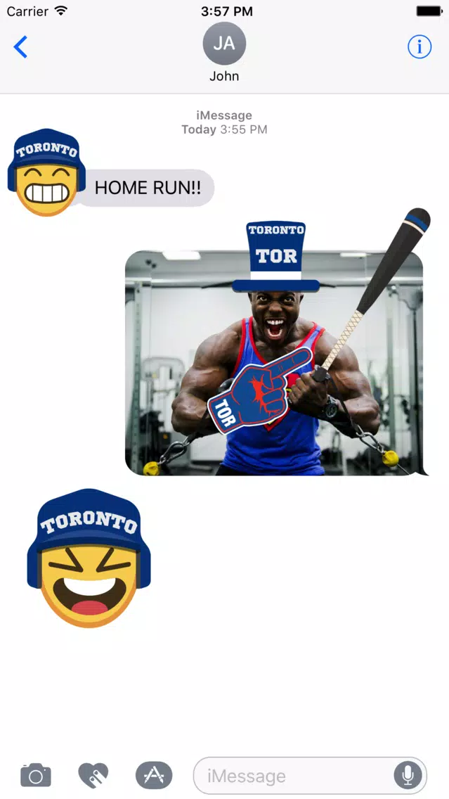 Toronto Baseball Stickers & Emojis Screenshots