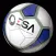ESA Controller
