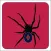 Solitaires Spider
