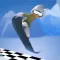 SpeedBoard 3D