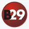 B 29 - Neuropathic Pain
