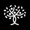 Spiritual Life Foundation
