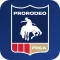 Play ProRodeo