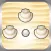 Shell Mania
