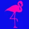 Trendy Flamingo