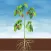 Advanced Plants HD
