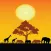 Ecology HD