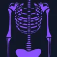 Basic Radiology