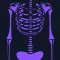 Basic Radiology