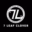 7 Leaf Clover 7 Leaf Clover