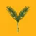 Yellow Spruce Roasters