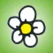 Flower Doodles