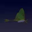 Forest Flutter