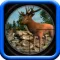 Sniper Hunter 3D