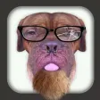 Face Booth Bash